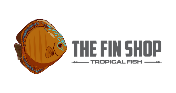 The Fin Shop